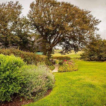 Apartament The Wild Atlantic Hideaway Clonakilty Zewnętrze zdjęcie