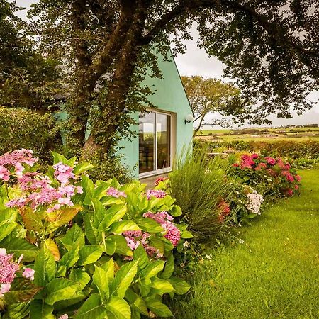 Apartament The Wild Atlantic Hideaway Clonakilty Zewnętrze zdjęcie