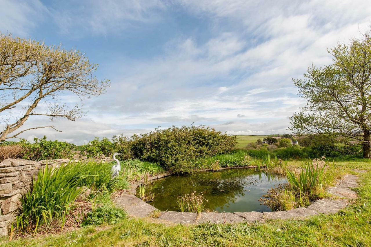 Apartament The Wild Atlantic Hideaway Clonakilty Zewnętrze zdjęcie